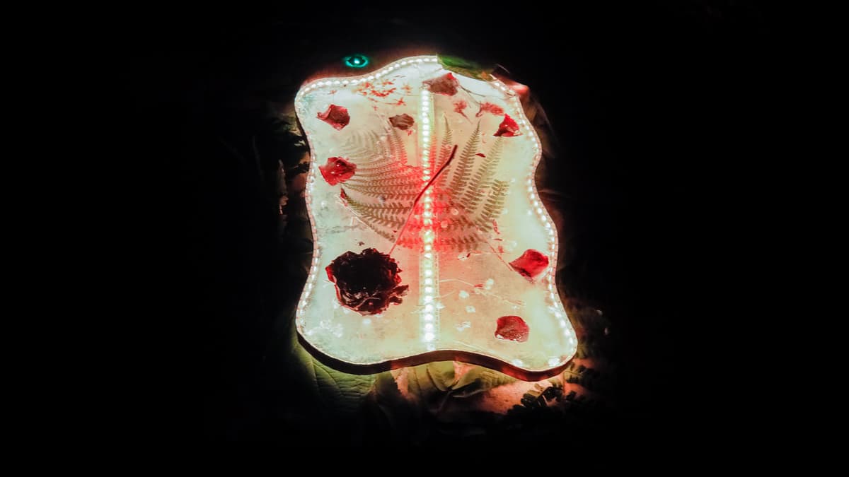 nature morte | nature vivant